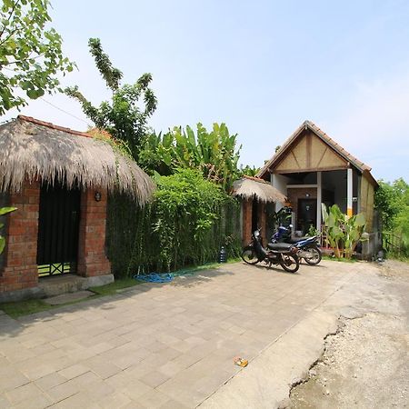 Green Bowl Bali Homestay Kuta Selatan Buitenkant foto